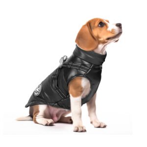 Dog Winter Jackets