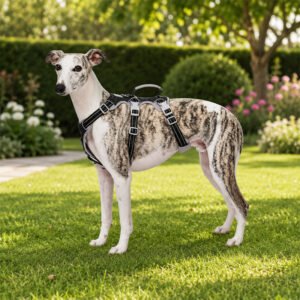 Alternative view of No Pull Dog Harness