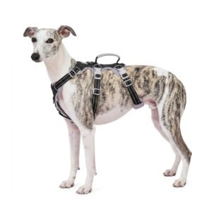No Pull Dog Harness