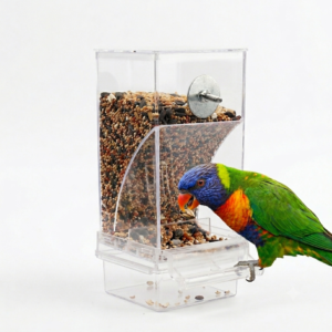parrot automatic feeder feeder bird feeding anti-scatter anti-splash bird food box supplies wholesale