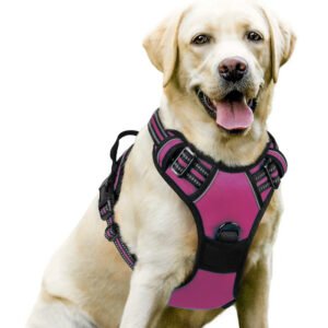 Adjustable dog harness for XL dogs