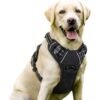 XL dog harness for outdoor walking