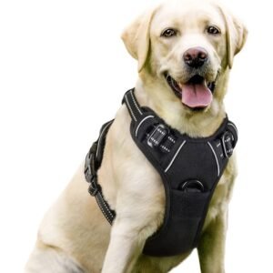 XL dog harness for outdoor walking