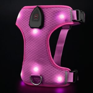 Light up dog harness for nighttime walks