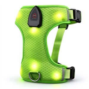 Green light up dog harness rechargeable with LED lights