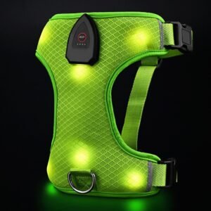 Rechargeable light up dog harness