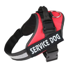 Service dogs harness designed for training, guidance, and daily assistance