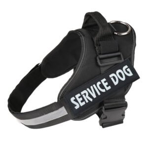Service dog harness with padded support for long-term comfort and safety